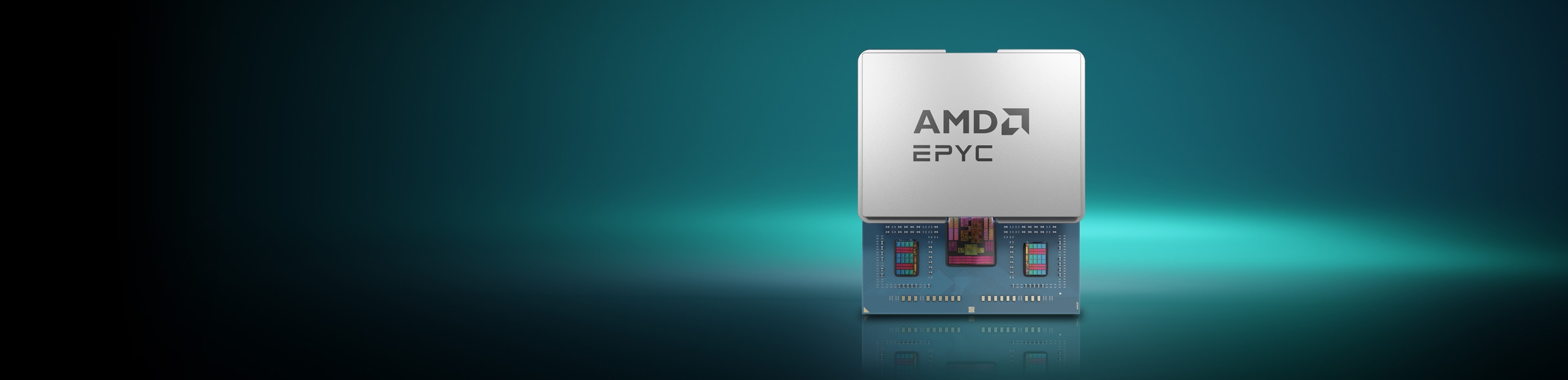 AMD EPYC 8004