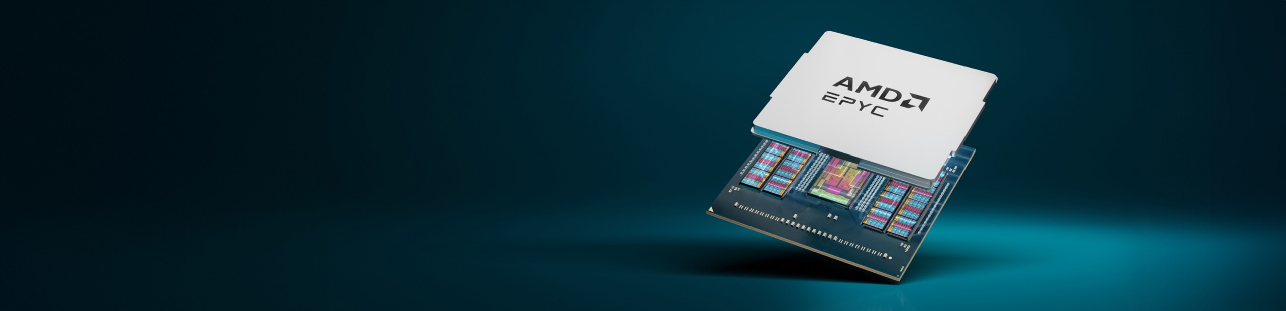 AMD EPYC 9005